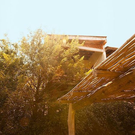 Casa Huijazoo Nature & Balance Hotel Mazunte Eksteriør billede