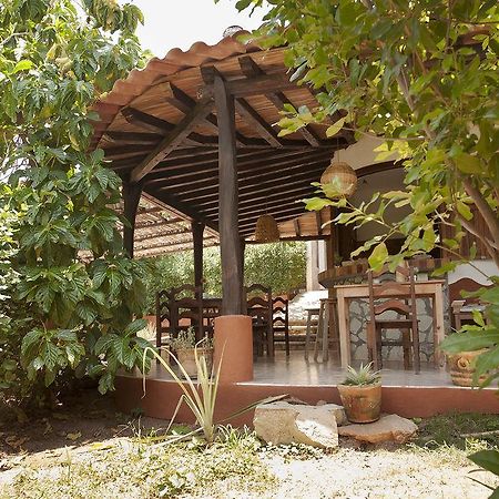 Casa Huijazoo Nature & Balance Hotel Mazunte Eksteriør billede
