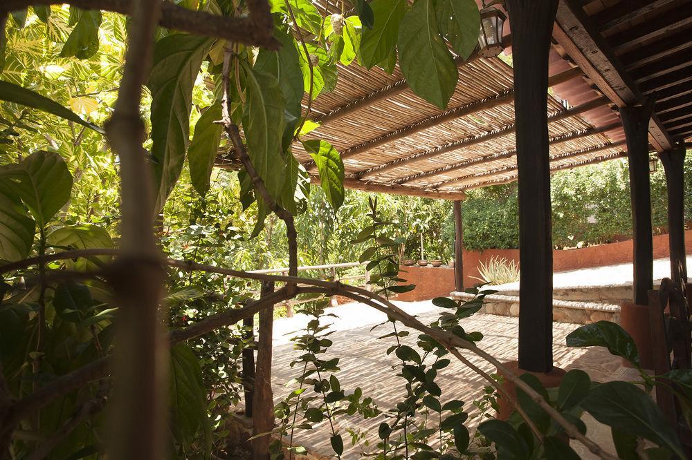 Casa Huijazoo Nature & Balance Hotel Mazunte Eksteriør billede